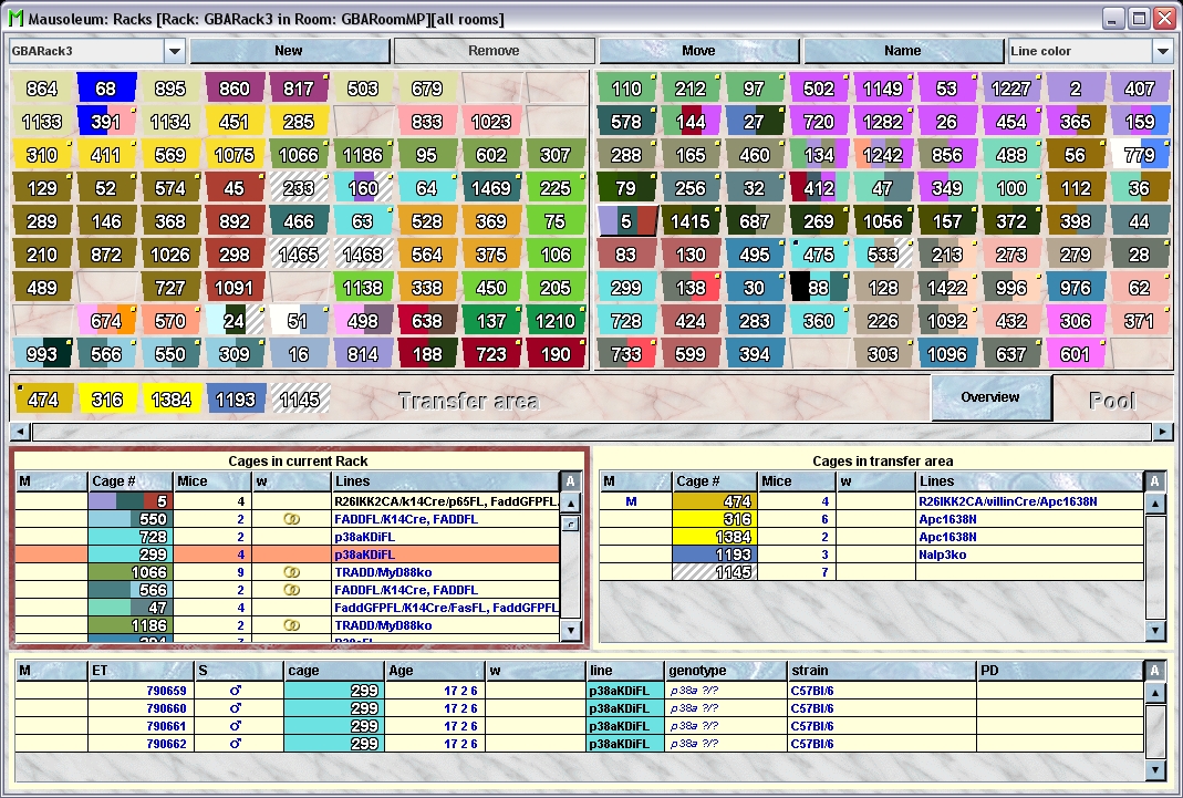 Rack view with cages colored by line colors