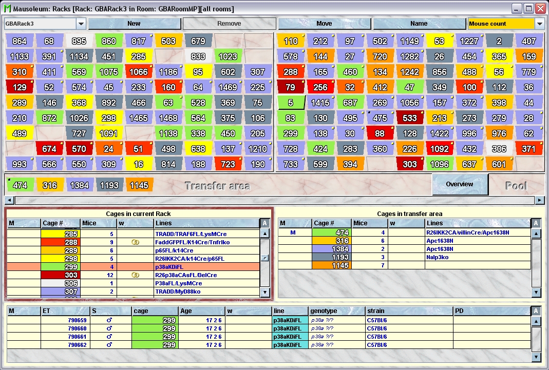 Rack view with cages colored by number of mice